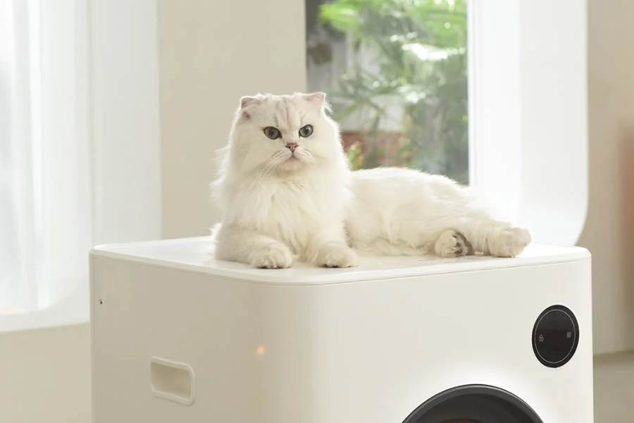 litter box for multiple cats