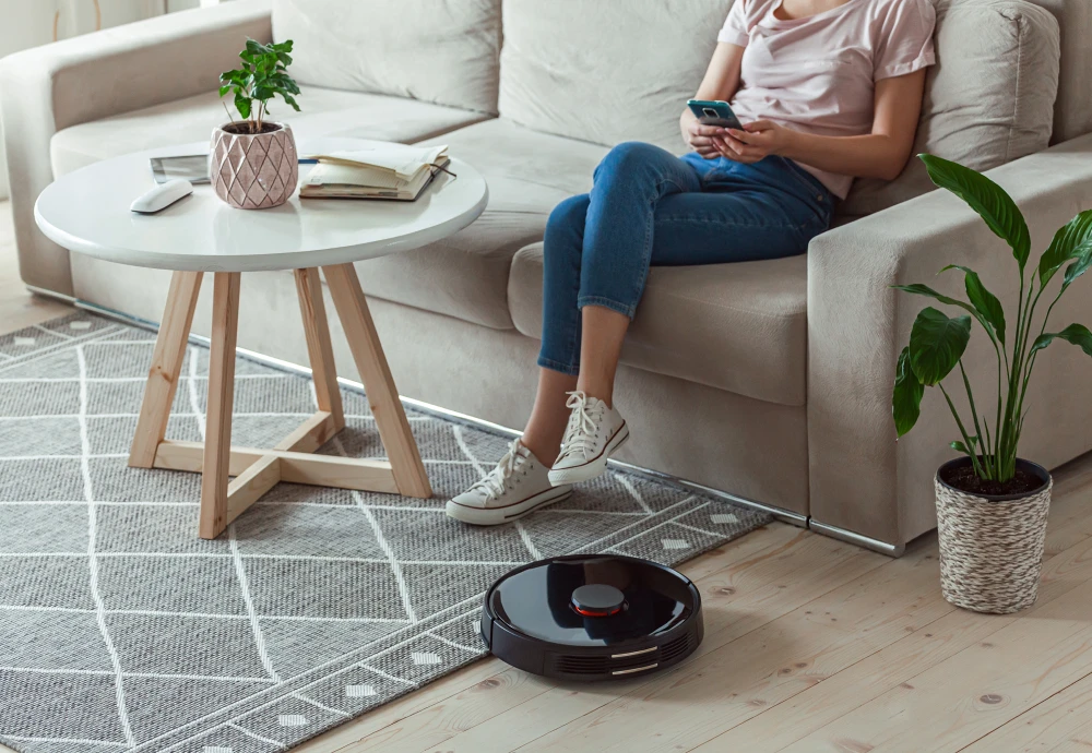 robot vacuum cleaner room mapping